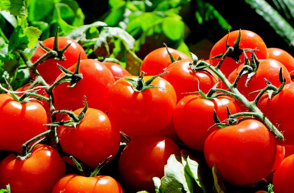 Graines de tomates gratuites \u2013 10\/03\/2017 | Je suis malin